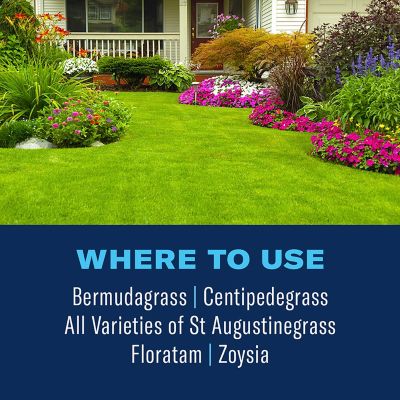 Image showing  Season Long Lawn Weed Killer & Preventer for Southern Lawns, Granules, 4,000 Sq Ft, 10 lbs.