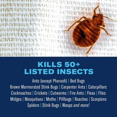 Image showing  Home Pest Insect Killer, Continuous Spray, 15.7 oz.