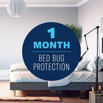 Image showing  Home Pest Insect Killer, Continuous Spray, 15.7 oz.