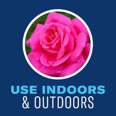 Image showing  Houseplant Insect & Mite Control, Ready-to-Use, 24 oz.