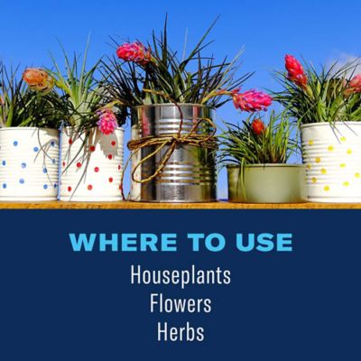 Image showing  Houseplant Insect & Mite Control, Ready-to-Use, 24 oz.