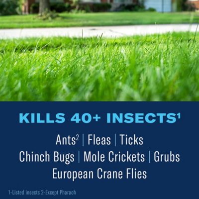 Image showing  Complete Brand Insect Killer for Lawns, Granules, 700294L