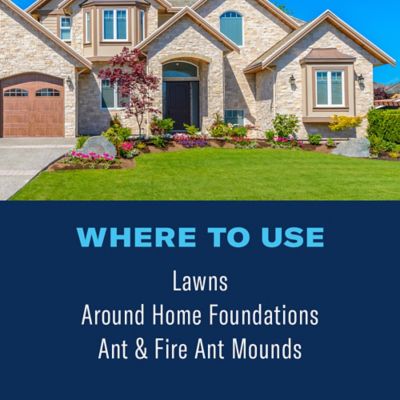 Image showing 5 th BioAdvanced Complete Brand Insect Killer for Lawns, Granules, 700294L