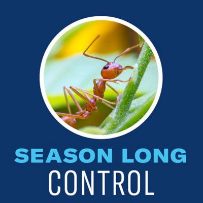 Image showing  Complete Brand Insect Killer for Lawns, Granules, 700295H