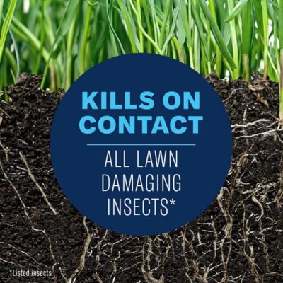 Image showing  Complete Brand Insect Killer for Lawns, Granules, 700295H