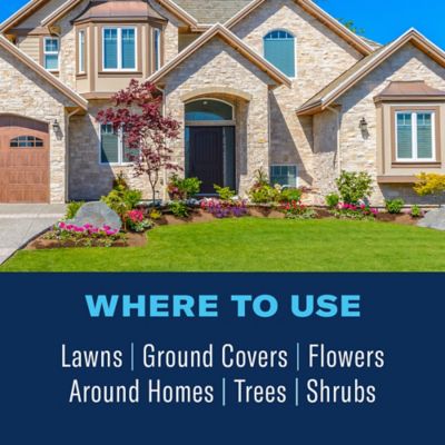 Image showing  Complete Brand Insect Killer for Soil and Turf I, Concentrate, 32 oz.