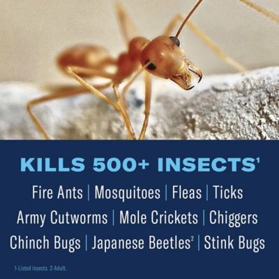 Image showing  24 Hour Lawn Insect & Fire Ant Killer, Concentrate, 32 oz.