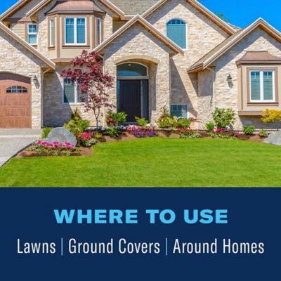 Image showing  24-Hour Lawn Insect Killer and Fire Ant Killer Ready to Spray, 32 oz.