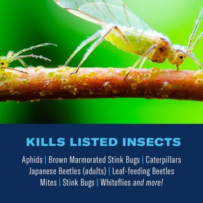 Image showing  Complete Brand Insect Killer for Soil and Turf I, Ready-to-Spray, 32 oz.