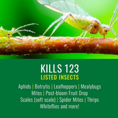 Image showing  Neem Oil, Concentrate, 24 oz.