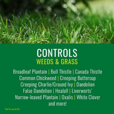 Image showing  Lawn Weed and Disease Control, Concentrate, 24 oz.