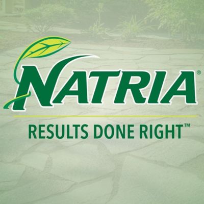 Image showing 5 th Natria Lawn Weed and Disease Control, Concentrate, 24 oz.