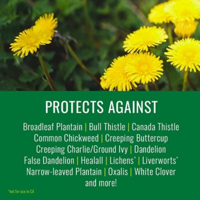 Image showing  Lawn Disease Control Weed Killer, Ready-to-Spray, 24 oz.