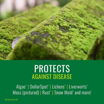 Image showing  Lawn Disease Control Weed Killer, Ready-to-Spray, 24 oz.