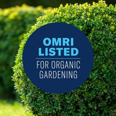 Image showing 5 th BioAdvanced Organics Brand Weed & Grass Killer, Ready-to-Use, 800450D