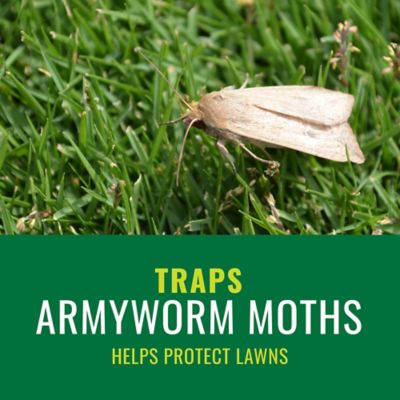 Image showing  Armyworm Pheromone Trap, Ready-To-Use, 3,380 Sq. Ft. (1-Pack)