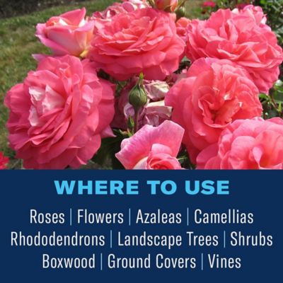 Image showing  Disease Control for Roses, Flowers and Shrubs, Concentrate, 32 oz.