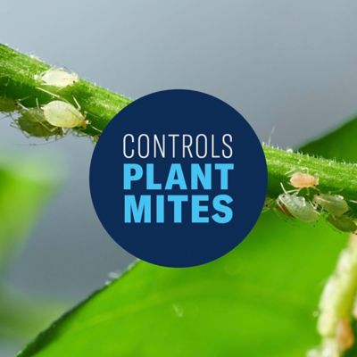 Image showing  All-in-One Rose and Flower Spray, Concentrate, 820061B