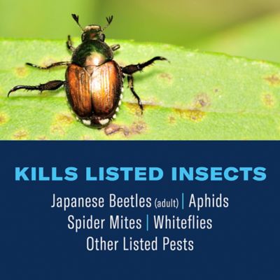 Image showing  All-In-One Rose & Flower Plant Care, Non-Neonic, Ready-To-Spray, 32 oz.