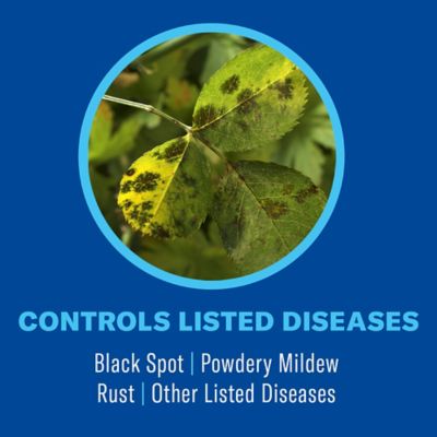 Image showing  3-in-1 Insect, Disease & Plant Mite Control, Non-Neonic, Ready-To-Spray, 32 oz.