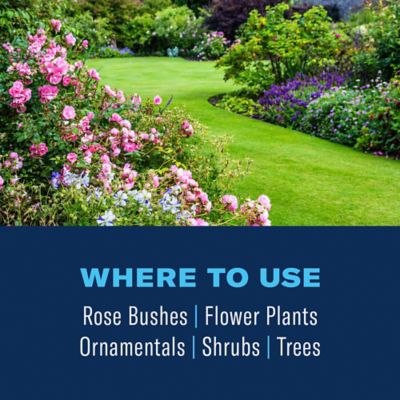 Image showing  3-in-1 Insect, Disease & Plant Mite Control, Non-Neonic, Ready-To-Spray, 32 oz.