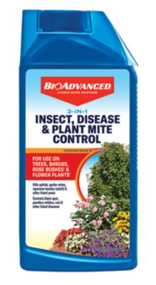 BioAdvanced 3-in-1 Insect, Disease & Plant Mite Control, Concentrate II, 32 oz.