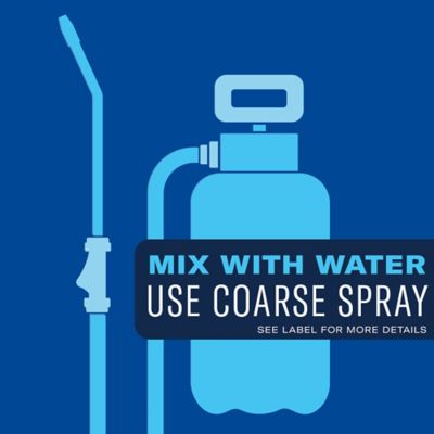 Image showing  3-in-1 Insect, Disease & Plant Mite Control, Concentrate II, 32 oz.
