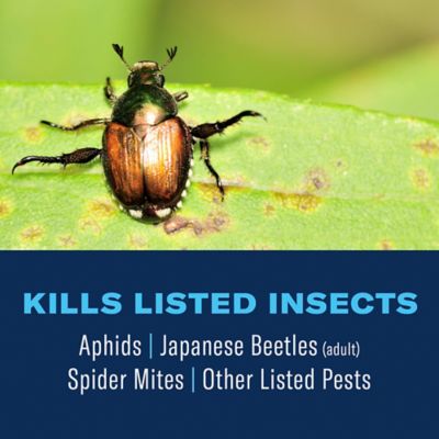 Image showing  3-in-1 Insect, Disease & Plant Mite Control, Ready-To-Use, 24 oz.