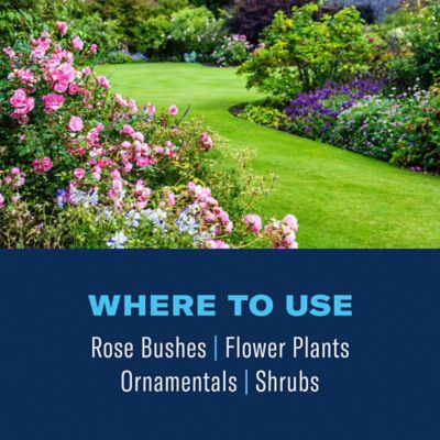 Image showing  3-in-1 Insect, Disease & Plant Mite Control, Ready-To-Use, 24 oz.