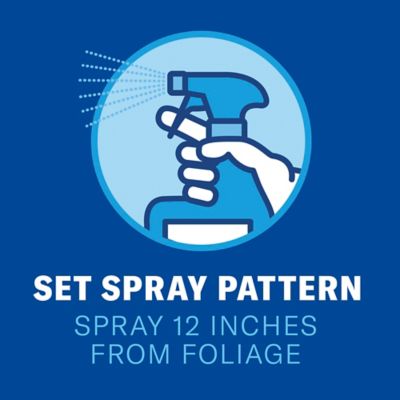 Image showing  3-in-1 Insect, Disease & Plant Mite Control, Ready-To-Use, 24 oz.