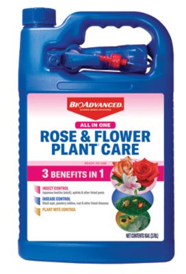 BioAdvanced All-In-One Rose & Flower Plant Care, Ready-To-Use, 820157E