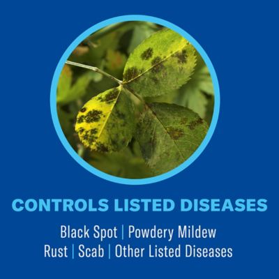 Image showing  All-In-One Rose & Flower Plant Care, Ready-To-Use, 820157E