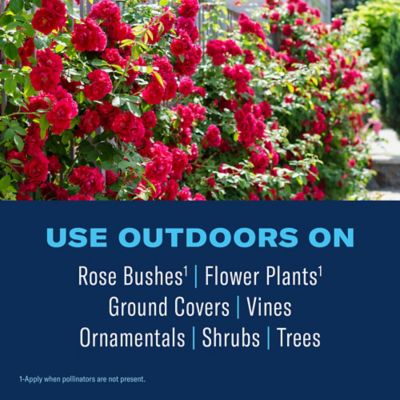 Image showing  All-In-One Rose & Flower Plant Care, Ready-To-Use, 820157E