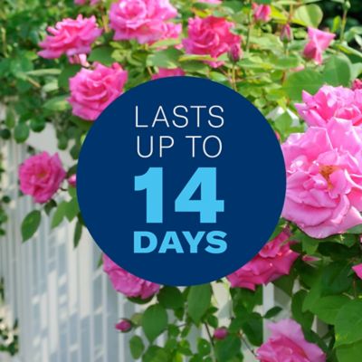 Image showing 5 th BioAdvanced All-In-One Rose & Flower Plant Care, Ready-To-Use, 820157E