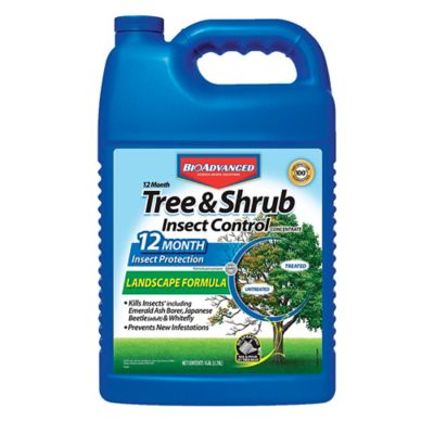 BioAdvanced 12-Month Shrub Control Insect Killer and Tree Fertilizer, Landscape Formula Concentrate, 1 gal.