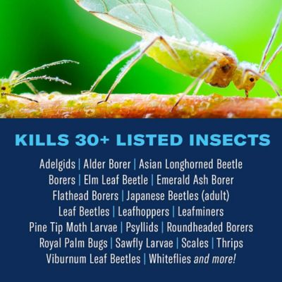 Image showing  12-Month Shrub Control Insect Killer and Tree Fertilizer, Landscape Formula Concentrate, 1 gal.