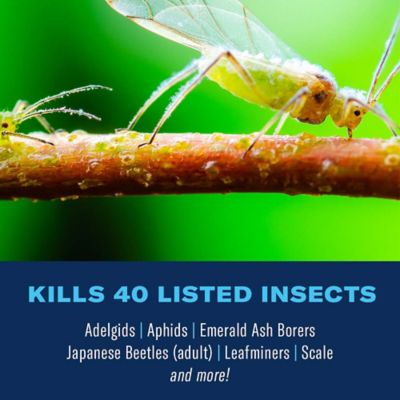 Image showing  12 Month Tree and Shrub Protect and Feed, Granules, 701910A