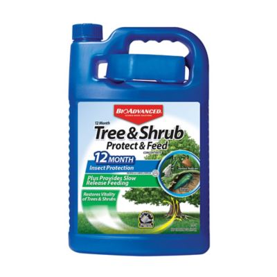 BioAdvanced 12 Month Tree and Shrub Protect and Feed, Concentrate, 701915A