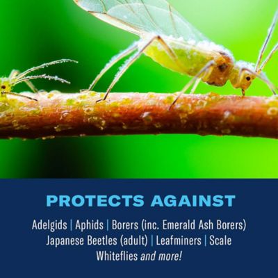 Image showing  12 Month Tree and Shrub Protect and Feed, Concentrate, 701915A