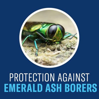 Image showing  12 Month Tree and Shrub Protect and Feed, Concentrate, 701915A