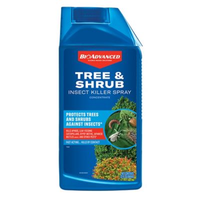 BioAdvanced Tree & Shrub Insect Killer Spray Ready-To-Spray, 32 oz.