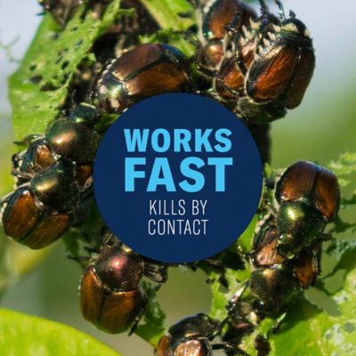 Image showing  Tree & Shrub Insect Killer Spray Ready-To-Spray, 32 oz.