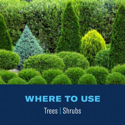 Image showing  Tree & Shrub Insect Killer Spray Ready-To-Spray, 32 oz.