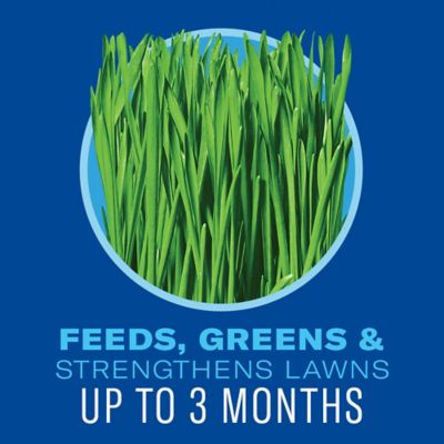 Image showing  5-in-1 Weed and Feed for Northern Lawns, 704865Z