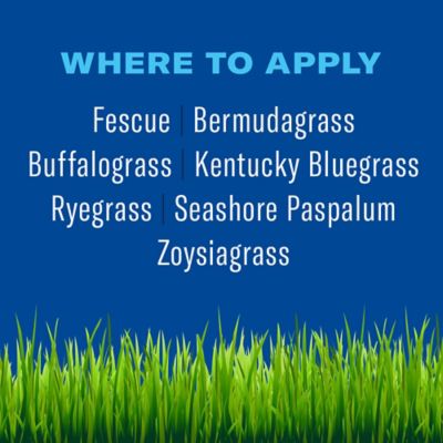 Image showing 5 th BioAdvanced 5-in-1 Weed and Feed for Northern Lawns, 704865Z