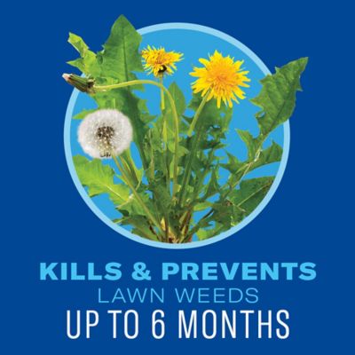 Image showing  5-in-1 Weed and Feed for Northern Lawns, 704860Z