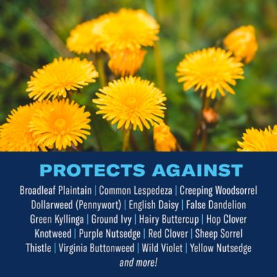 Image showing  3-in-1 Weed and Feed for Southern Lawns, 820106W