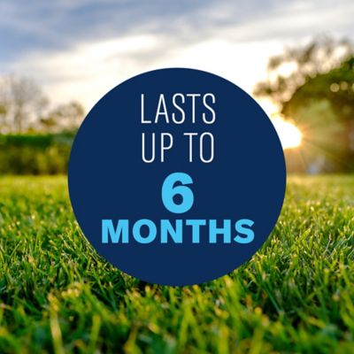 Image showing  3-in-1 Weed and Feed for Southern Lawns, 820106W