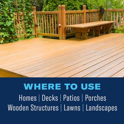 Image showing  Carpenter Ant & Termite Killer Plus, Concentrate, 1 gal.