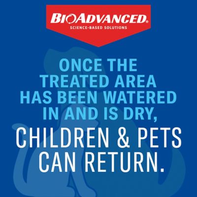 Image showing 6 th BioAdvanced Ready-to-Use Termite Killer, 9 lbs.